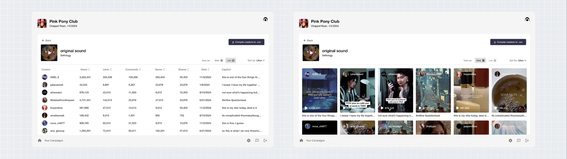 Campaign Management Interface